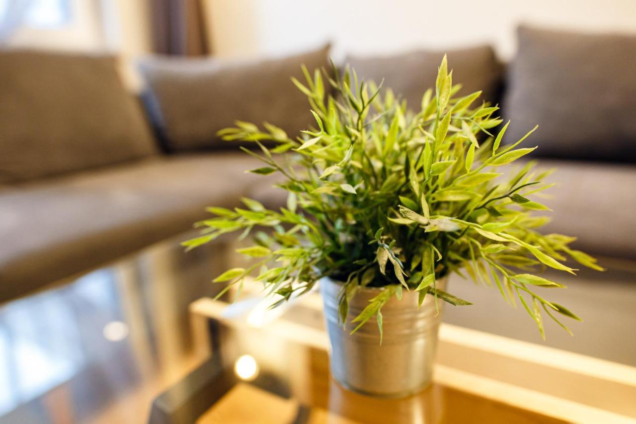 Apartament Livin Centrum 3*